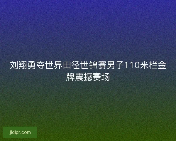 刘翔勇夺世界田径世锦赛男子110米栏金牌震撼赛场 刘翔勇夺世界田径世锦赛男子110米栏金牌震撼赛场